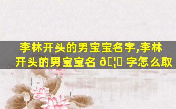 李林开头的男宝宝名字,李林开头的男宝宝名 🦟 字怎么取